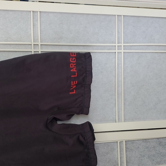 Live Large Singlet Gorilla - Picture 2 of 6